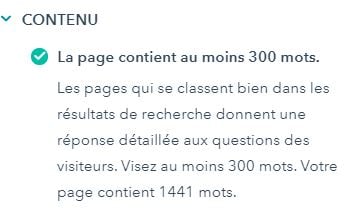 Contenu 300 mots seo audit site web